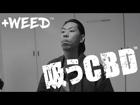 吸うCBD／呂布カルマ、晋平太、MU-TON、MOL53、ACE、ID、CHEHON【+WEED公式】